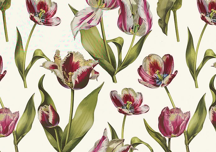 Carries, Cosmos - Twist&Fit Roman Blind - Image 8